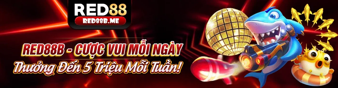 Hình ảnh giới thiệu 888now4