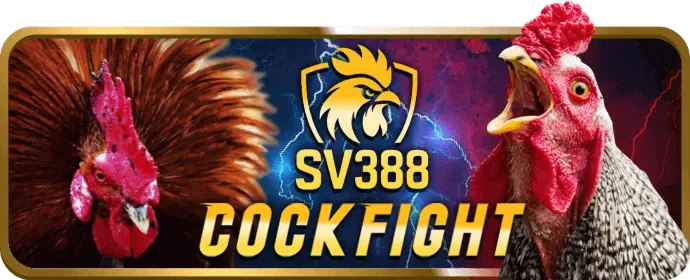 Tổng quan về đá gà trực tuyến 888now4